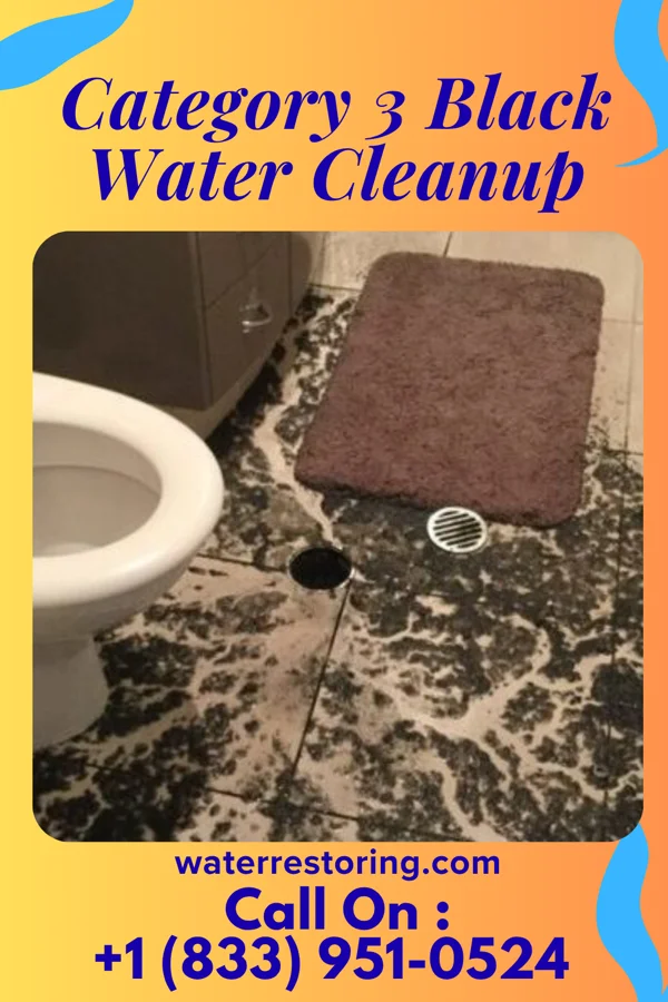 Category 3 Black Water Cleanup in Sykesville, MD