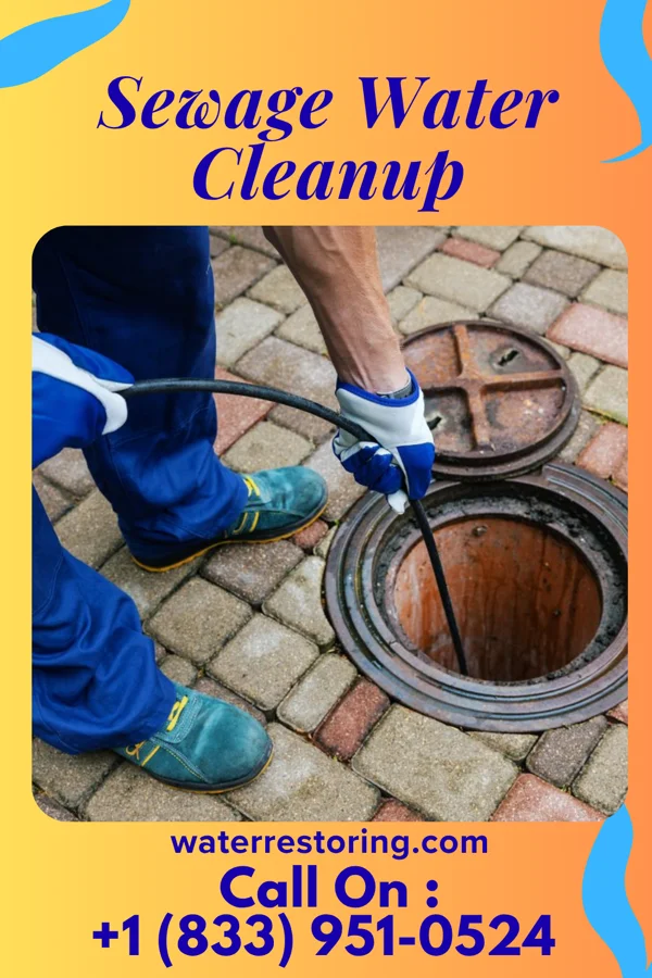 Sewage Water Cleanup in Sykesville, MD